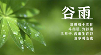 【二十四節氣灸】谷雨時節，用艾為您的健康加上一道保險！