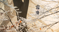 【二十四節氣灸】霜降節氣：艾灸四穴，護您冬天安然無恙！