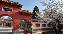 【行業資訊】新華財經：守正創新，中醫藥品牌化發展“更上一層樓”！