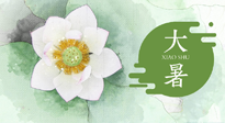 【二十四節氣灸】大暑節氣：記得艾灸，趁暑化濕解冬病！