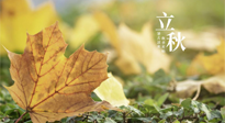 【節(jié)氣養(yǎng)生】甲辰立秋，“2做”、“2不做”，護好我們身體的正氣，預(yù)防外邪的侵襲！