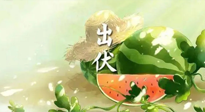 【艾灸三伏天】出伏后記得堅持艾灸，伏后固本，做好至關重要的最后一步！